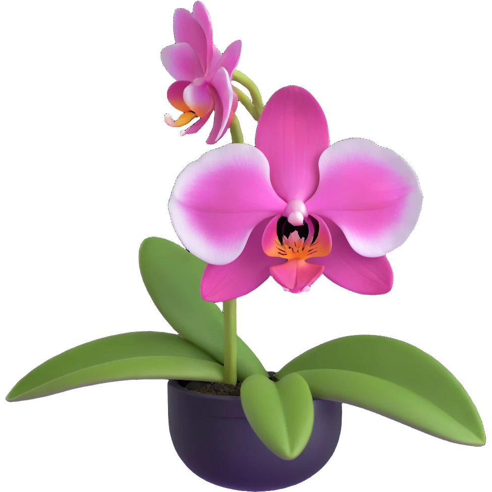Elegant phalaenopsis moth orchid with detailed white and pink petals and green stem emoji