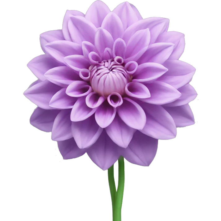 Light purple dahlia flower with green stem emoji