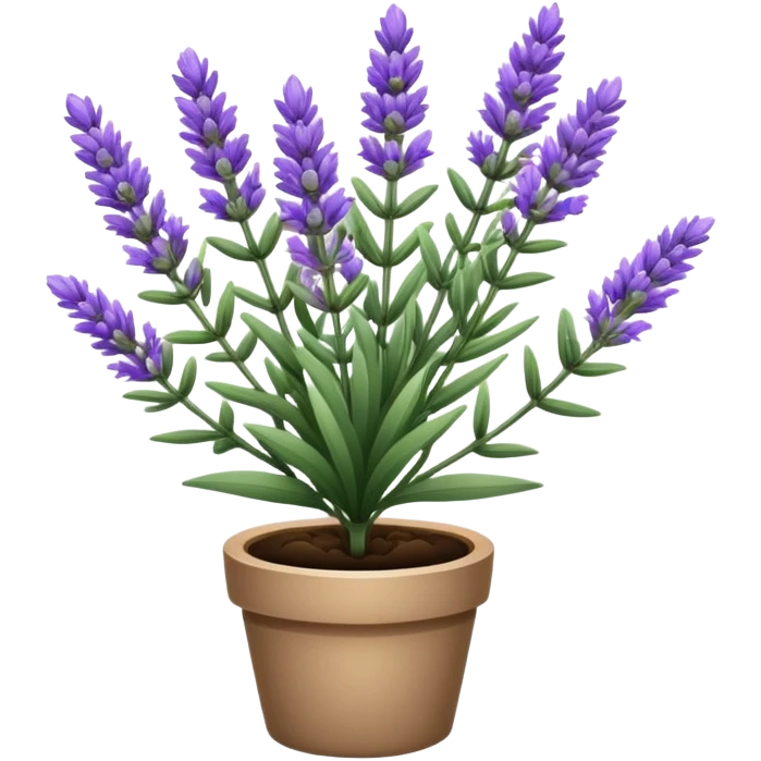 lavender plant  emoji