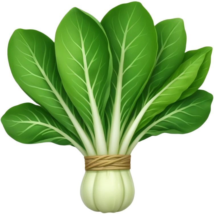 bok choy, simple, iconic, minimal background emoji