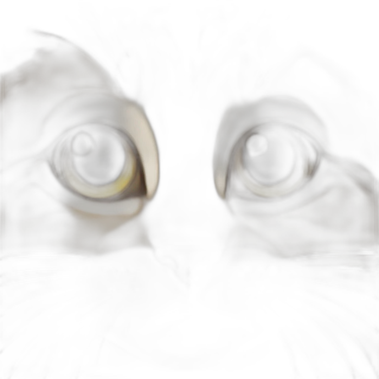 Cats emoji