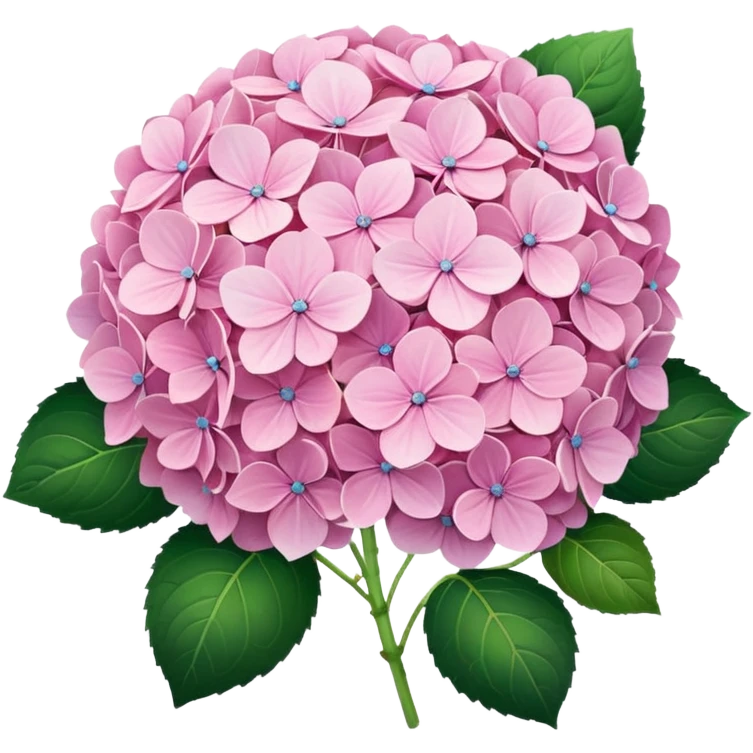 Pink Pastel Aesthetic Hydrangeas emoji