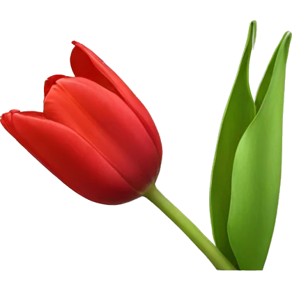 Red tulip  emoji