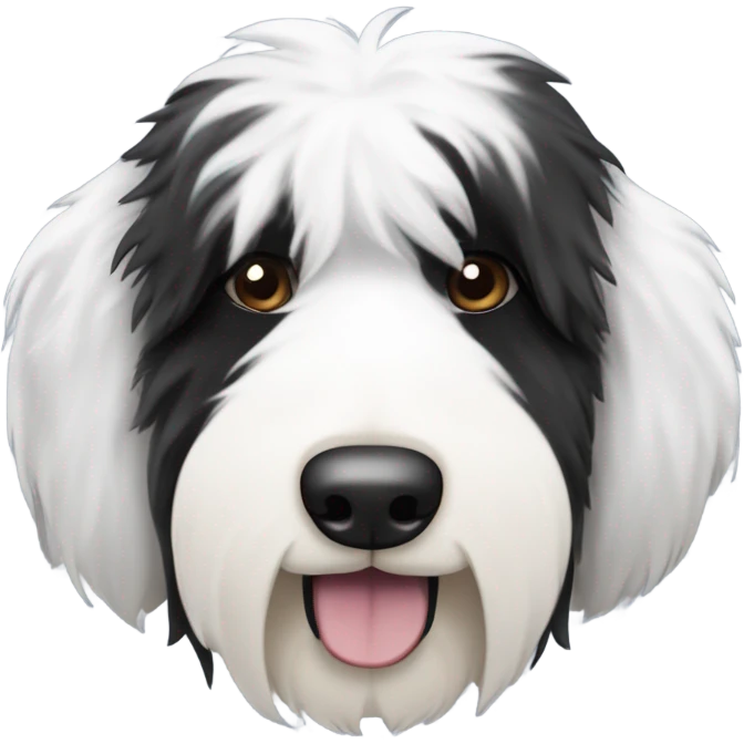 Old English sheepdog with a half and half face like a black and white cookie emoji