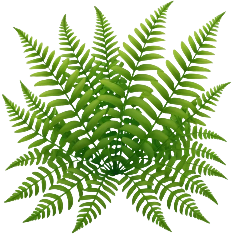 A cluster of soft green ferns growing under shaded trees. emoji