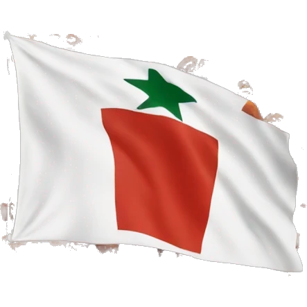 Ughur flag emoji