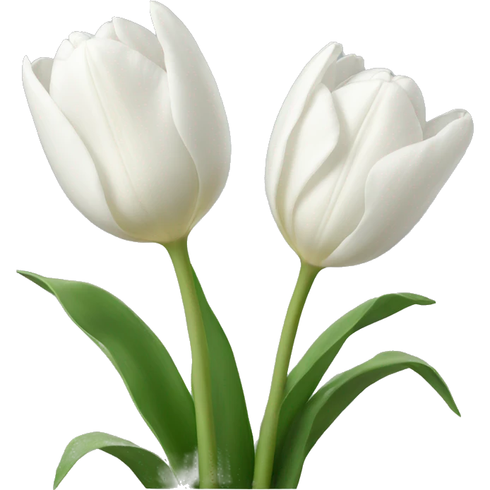 white tulips emoji