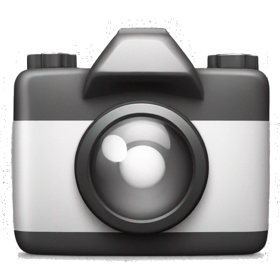 A camera app black and white and gray theme and not 3d  emoji
