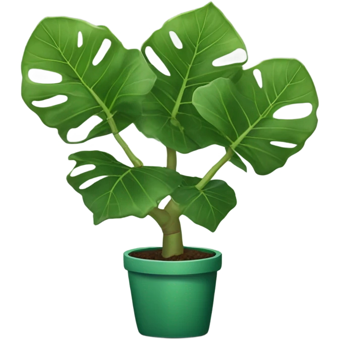 Fiddle leaf fig emoji