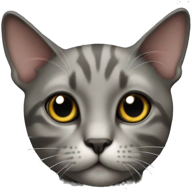Cat black emoji
