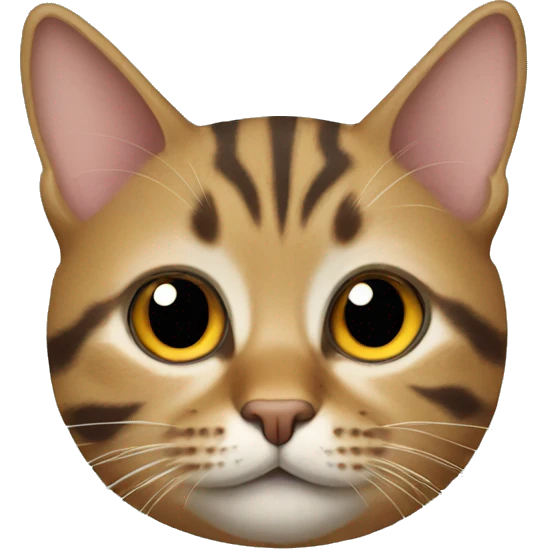tabby cat face emoji