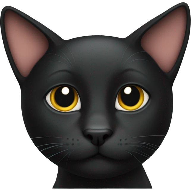 Black cat emoji