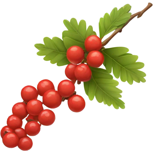 rowan berries branch emoji