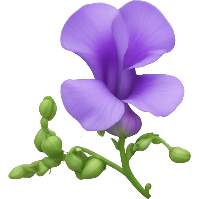sweet pea flower emoji