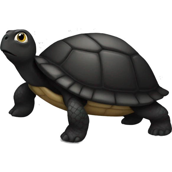 black turtle emoji