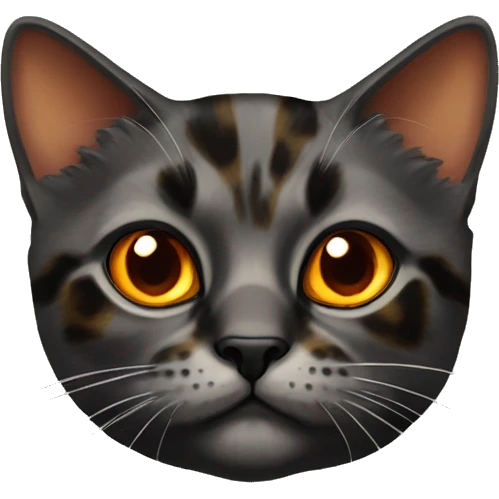 Tortoiseshell cat with orange eyes emoji