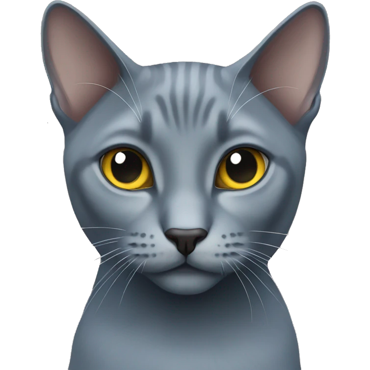 Russian blue cat  emoji