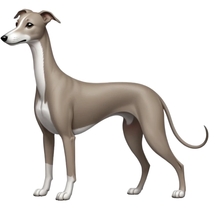 Greyhound emoji