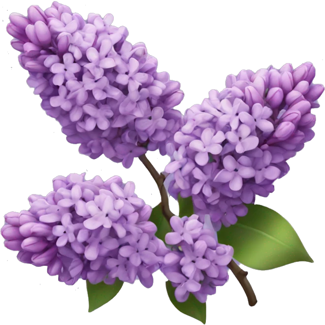 Lilac flowers emoji