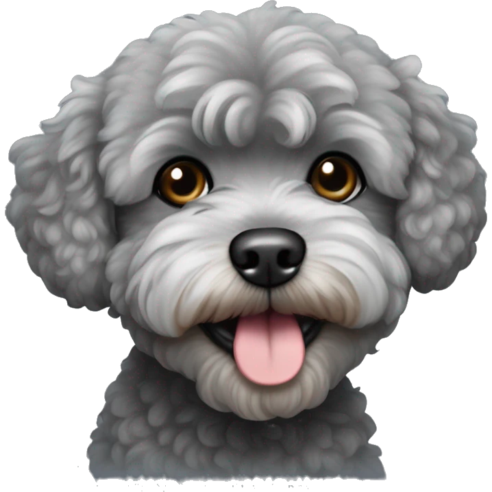 Dark gray maltipoo with light gray snout emoji