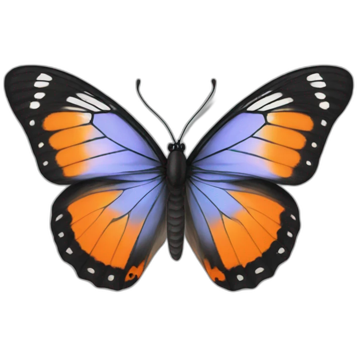 the most beautiful orange and black butterflies emoji