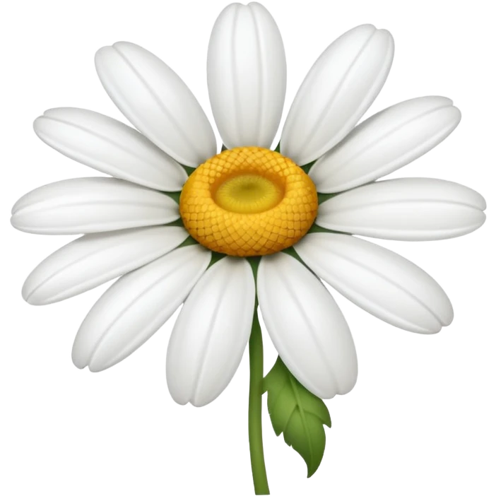 daisy blossom with white petals emoji