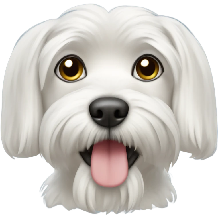 Maltese dog  emoji
