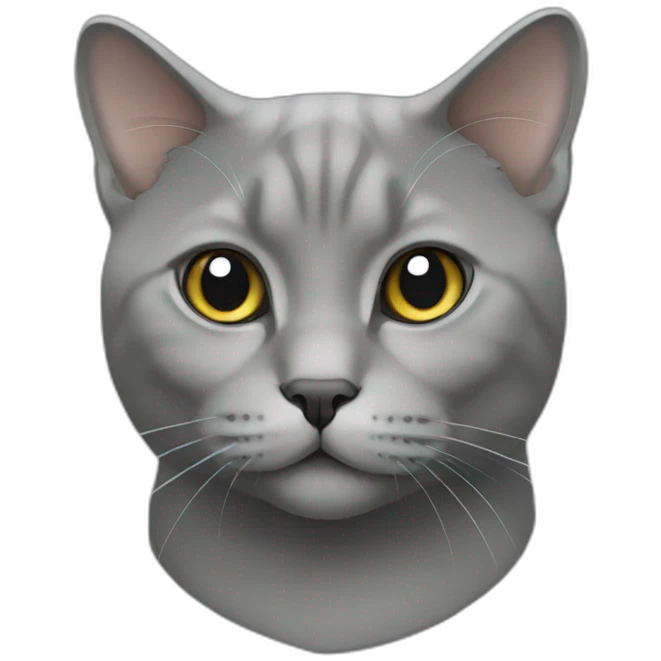 grey british cat emoji