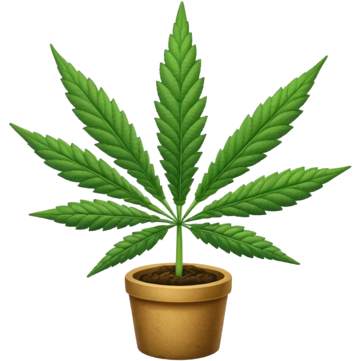 Cannabis emoji