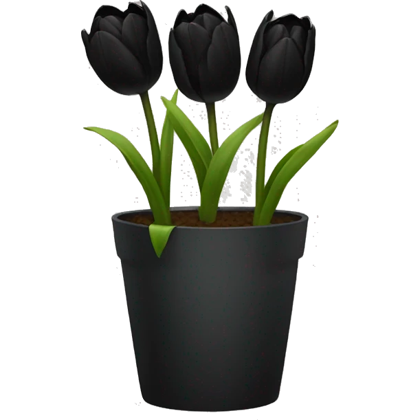 black tulips emoji
