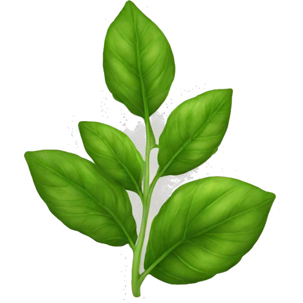 basil leaves emoji
