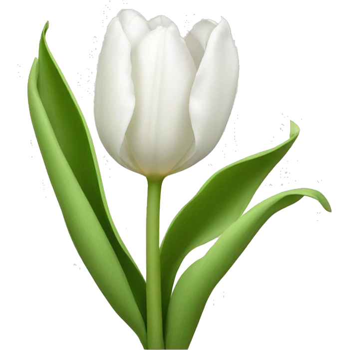 White Tulips with stem emoji