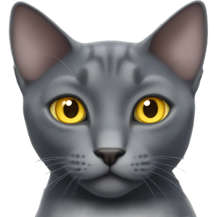 Gray russian blue cat with ears like bats have and sparkling yellow eyes emoji
