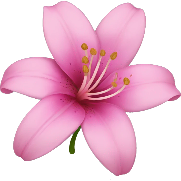 Pink lilie flower  emoji