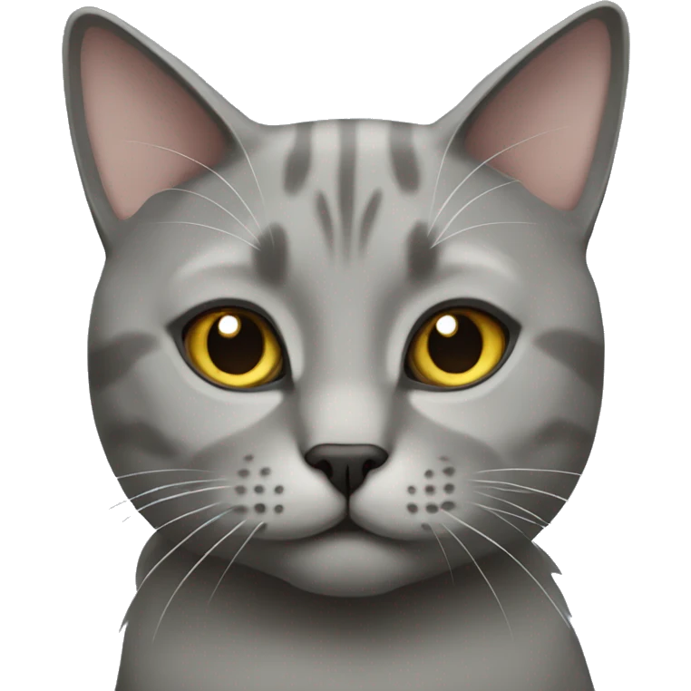 Scottish grey cat emoji