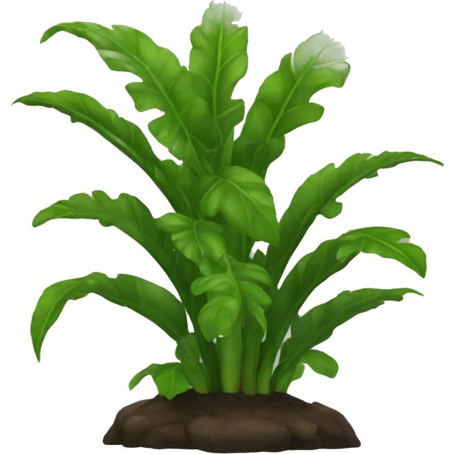 plante basile emoji