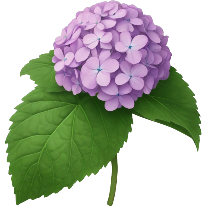 hydrangea emoji