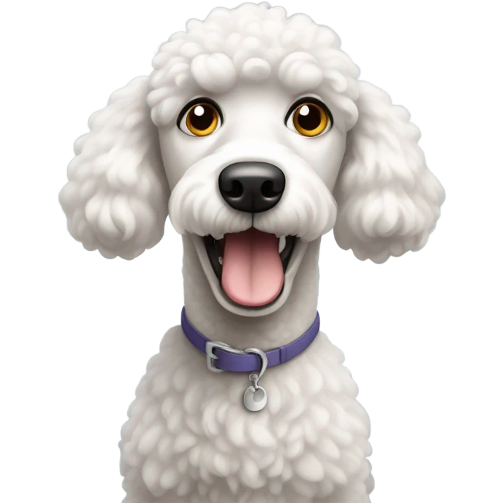 Scared white poodle dog with round eyes  emoji