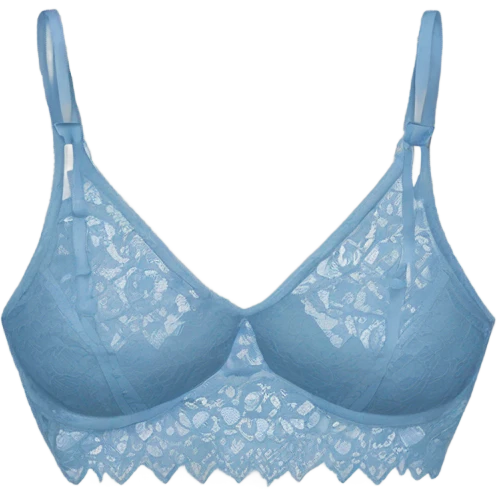 blue lace bralette emoji