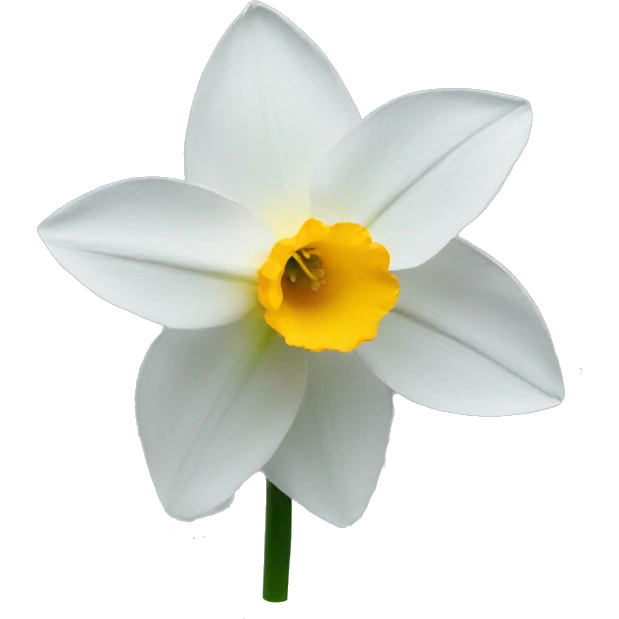 Flower of Narcissus emoji