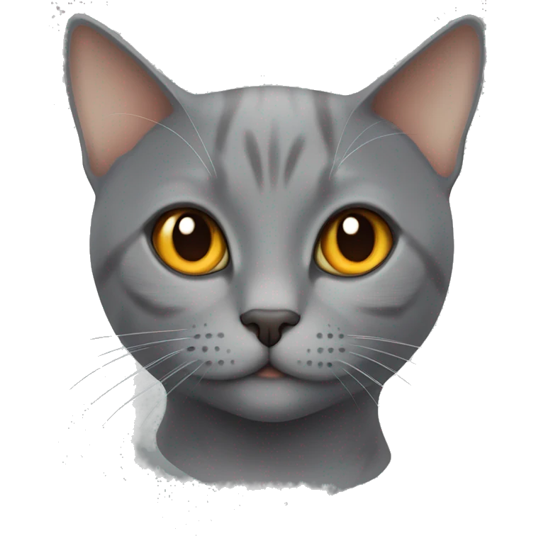 CAT grey british Short hair orange eyes emoji
