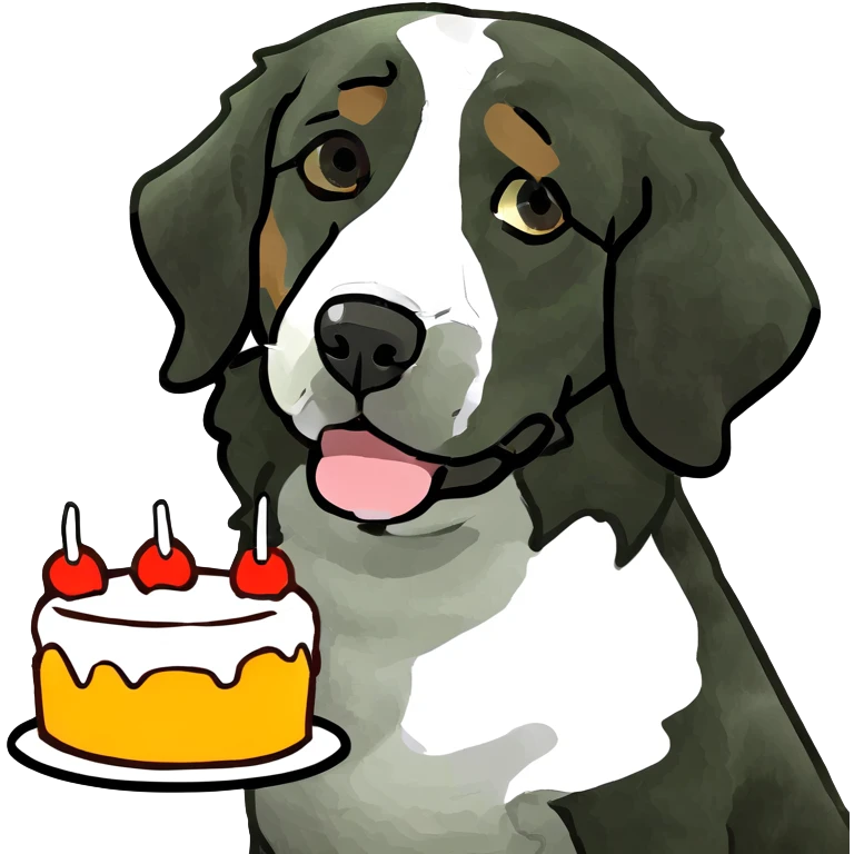 Merle bernedoodle with cake emoji