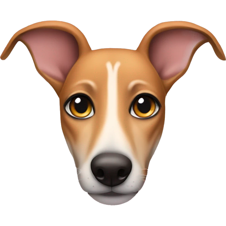 Fawn tiger greyhound with hearts eyes emoji