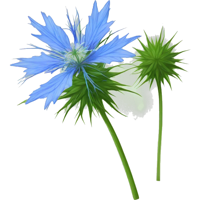 love-in-a-mist flower emoji