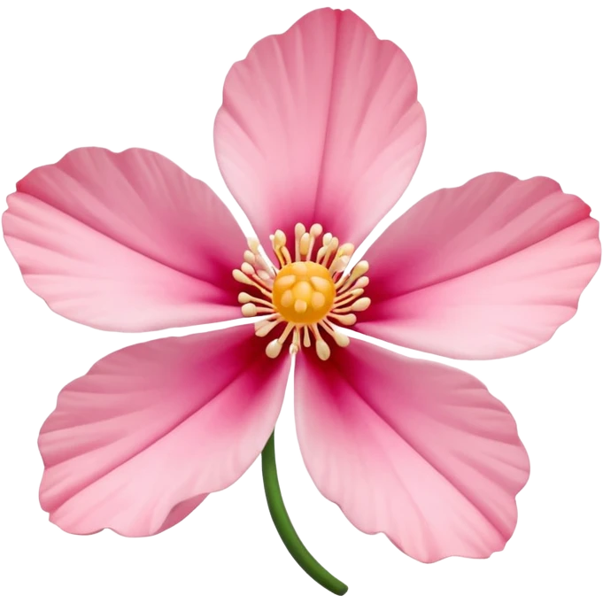 coquina flower emoji