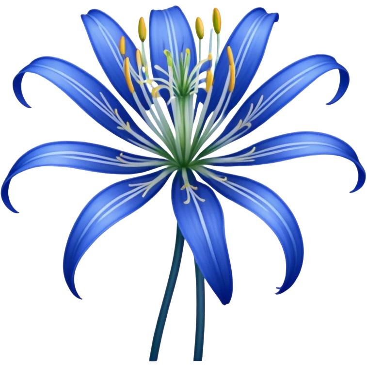 Blue spider Lily  emoji