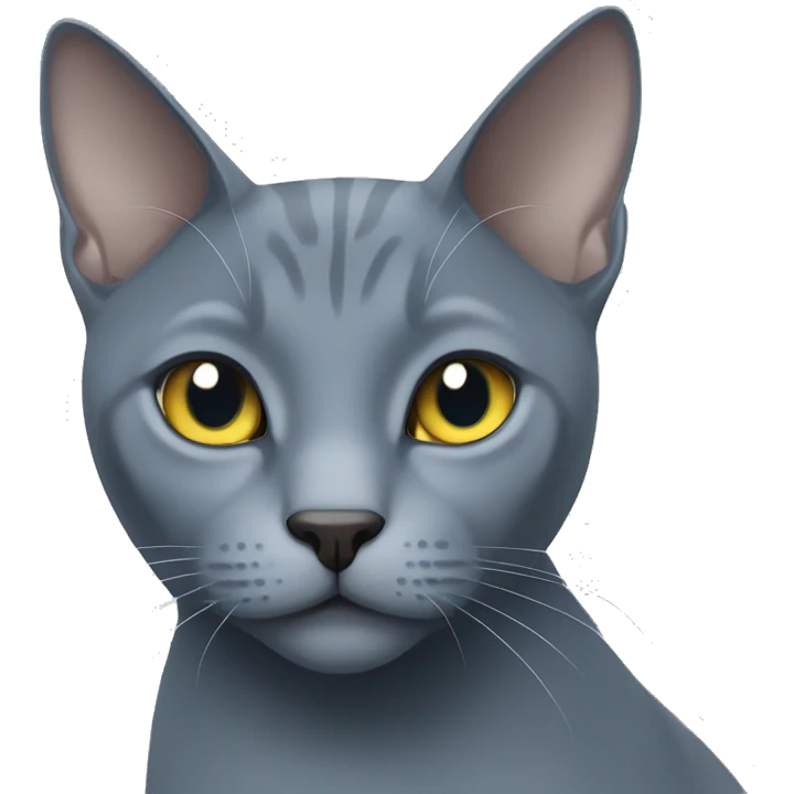 Russian blue cat  emoji