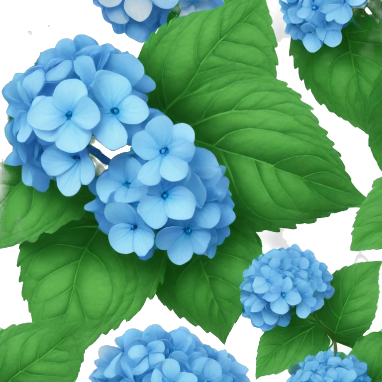 Blue hydrangeas emoji