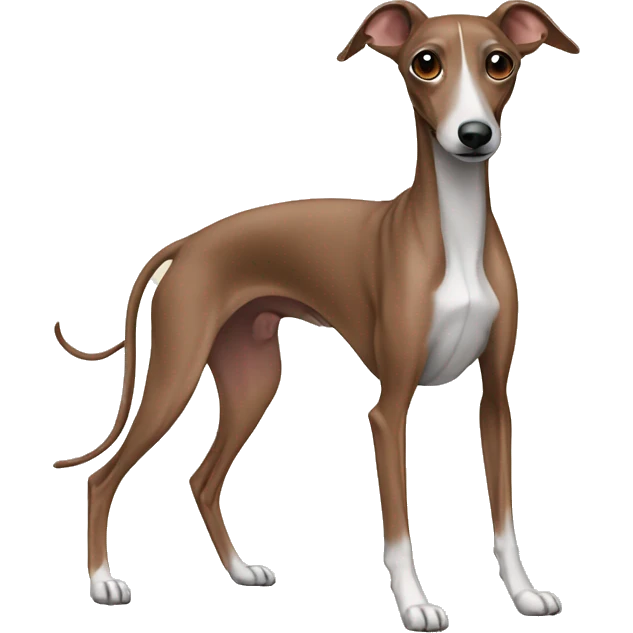 Brown Italian greyhound emoji