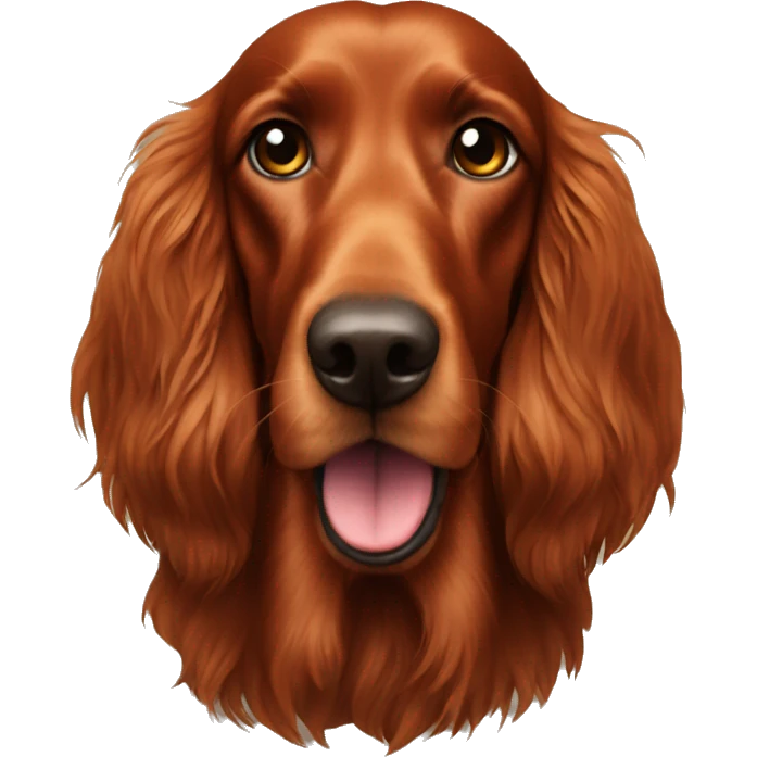 Irish setter with pumpkin  emoji